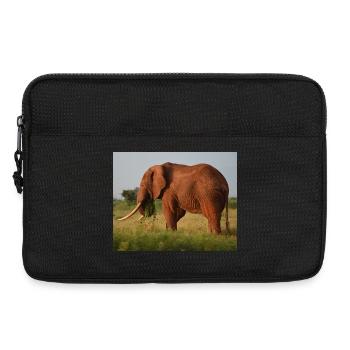 Éléphant sur la savane - Sacoche pour ordinateur portable 13 pouces - noir - Devant