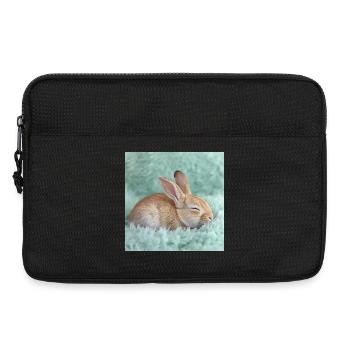 268 Hase - Laptoptasche 13" - Schwarz - Vorne