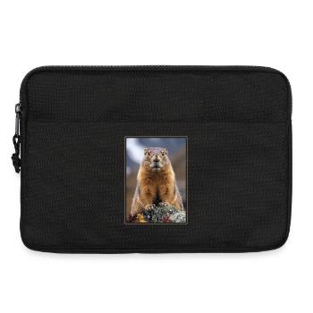 Marmots Groundhog - Laptop bag 13" - black - Front