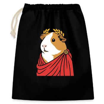 Toge romaine cobaye - Sac cadeau 40 x 50 cm - noir - Devant