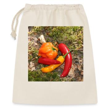 CHILI’s colorés - Sac cadeau 40 x 50 cm - nature - Devant