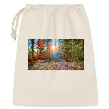 Lumière du soleil dans la forêt d’automne - Sac cadeau 40 x 50 cm - nature - Devant