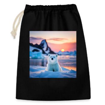 Pooh on the Ice Floe - Gift Bag 30 x 45 cm - black - Front