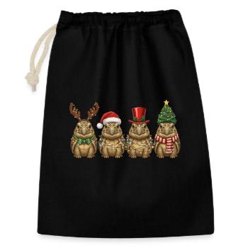 Lumière de Noël tortue grecque - Sac cadeau 30 x 45 cm - noir - Devant