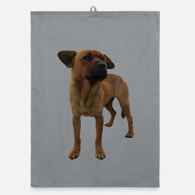 Chien Torchon bio