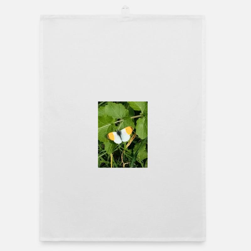 Papillon blanc orange bordures noires - Torchon bio - blanc