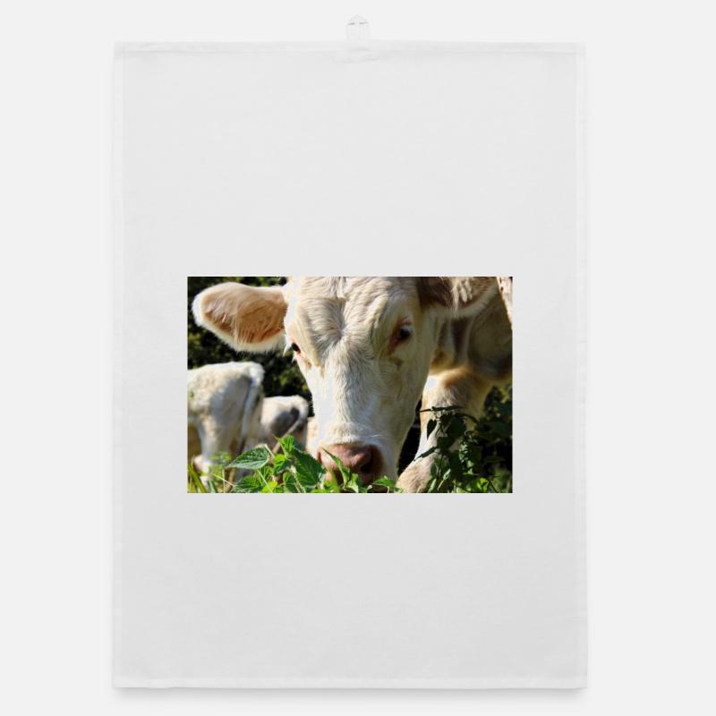 Affiche vache Torchon bio