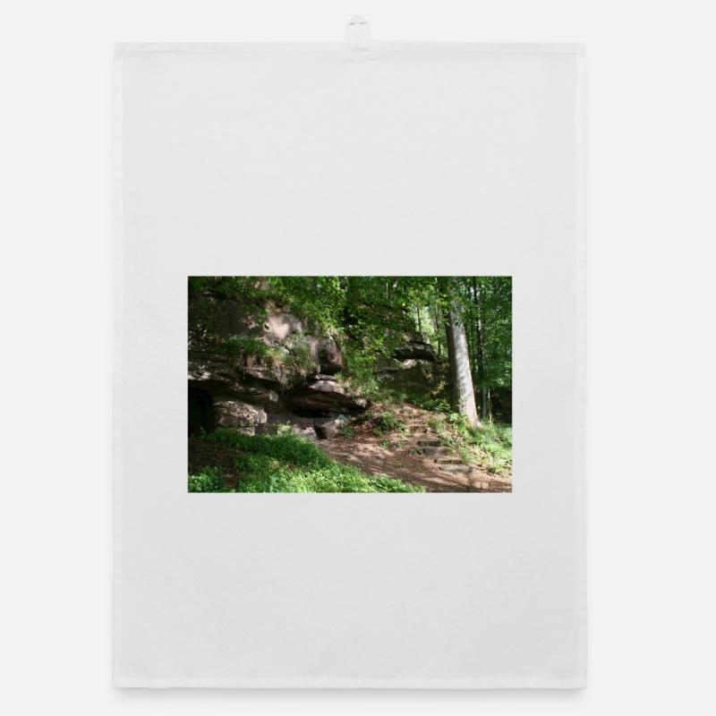 Rock path in the forest light / Northern Black Forest Organic dish towel
