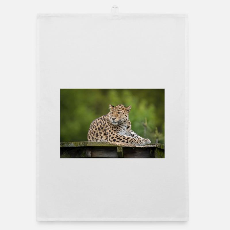 léopard Torchon bio