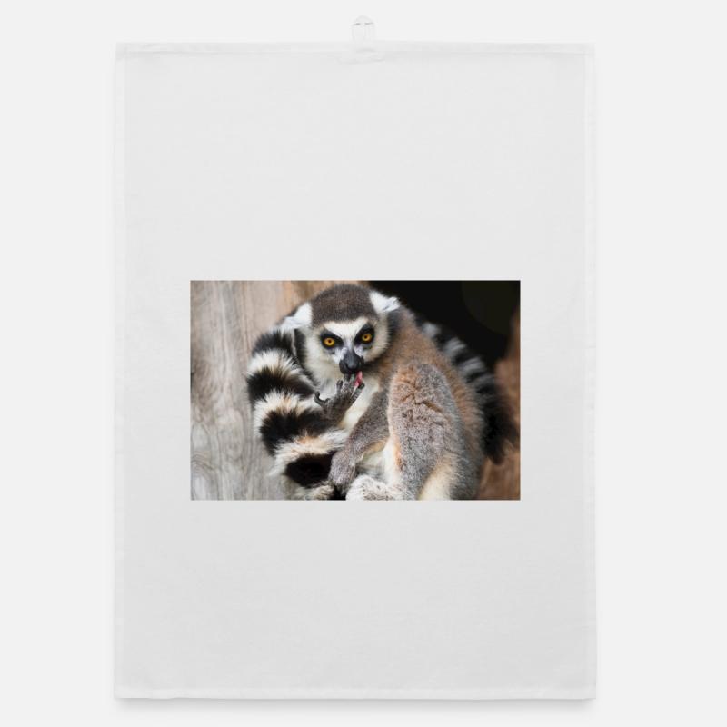 Lémurien au regard doré et queue rayée Torchon bio