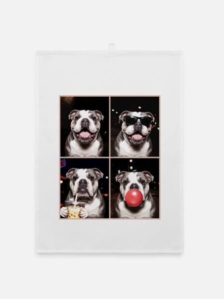 Hunde Bulldog Hund - Organic Geschirrtuch - Weiß - Vorne
