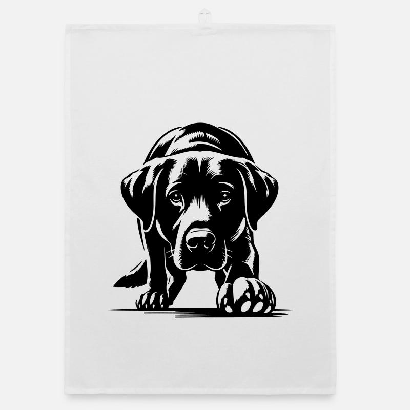 Labrador Torchon bio