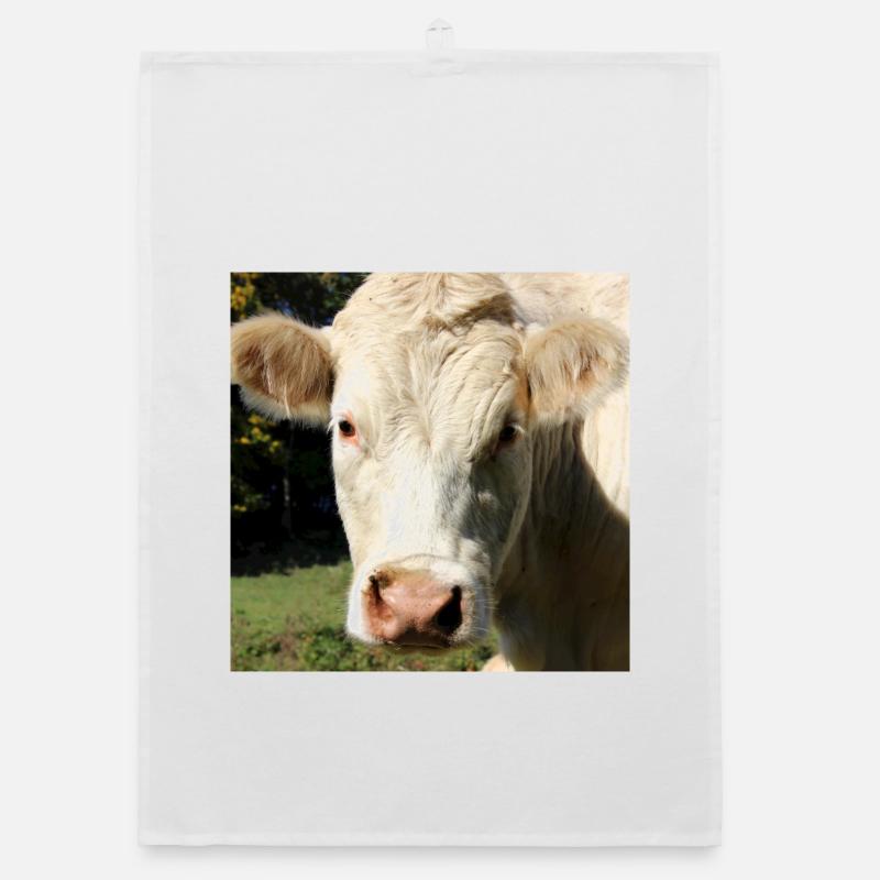 Affiche vache Torchon bio