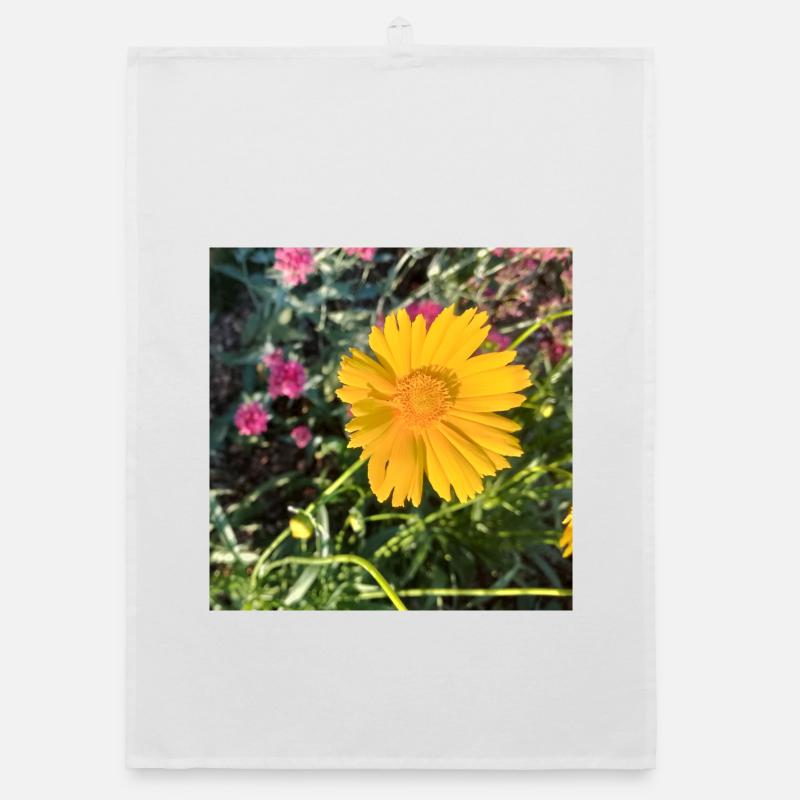Rayon de soleil fleur jaune / Œil de la jeune fille - Torchon bio - blanc