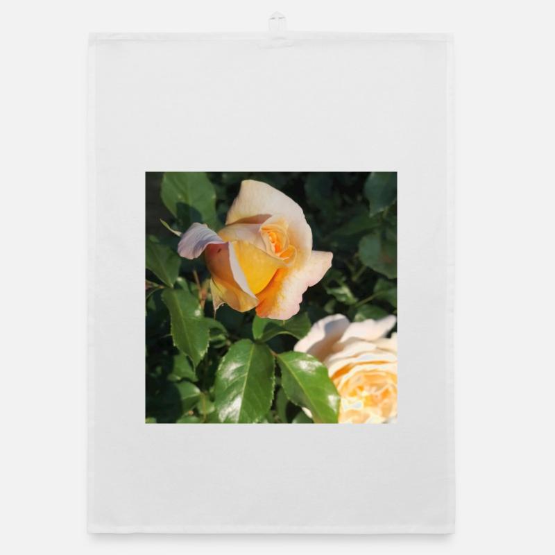 Organic dish towel