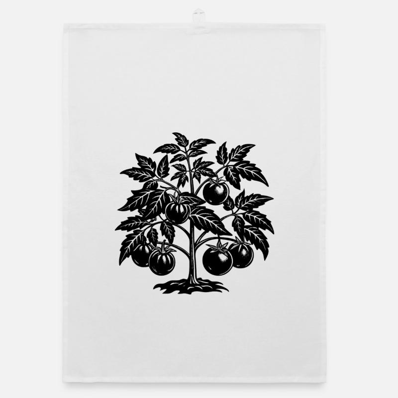 Plante de tomate Torchon bio