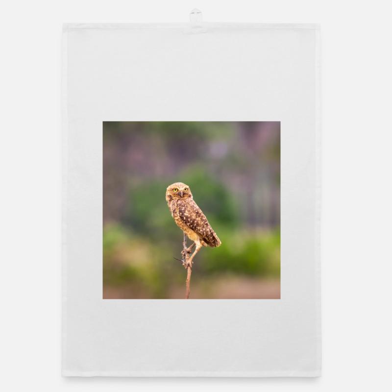 it's nice Organic dish towel