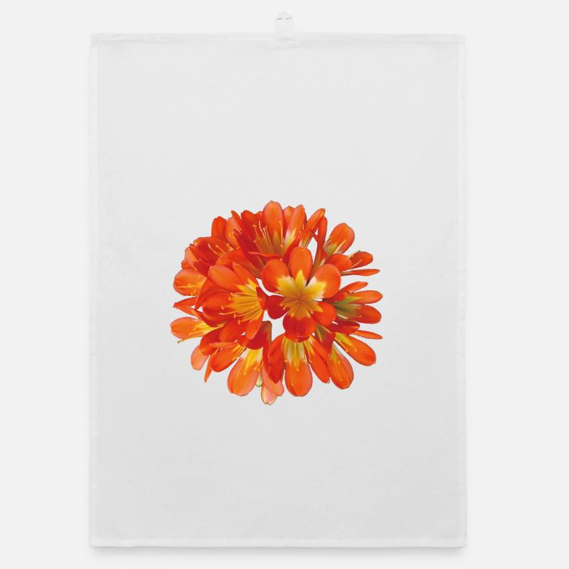 Floraison botanique de clivia orange éclatante Torchon bio