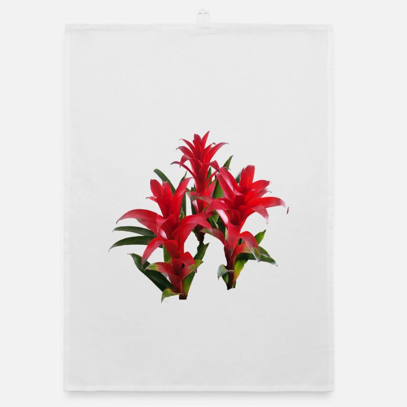 Vibrant_Red_Bromeliads Torchon bio