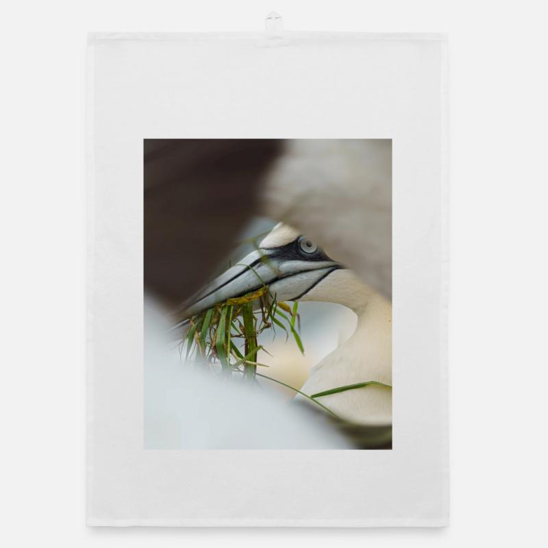 A Gannet framed but other Gannets Organic dish towel
