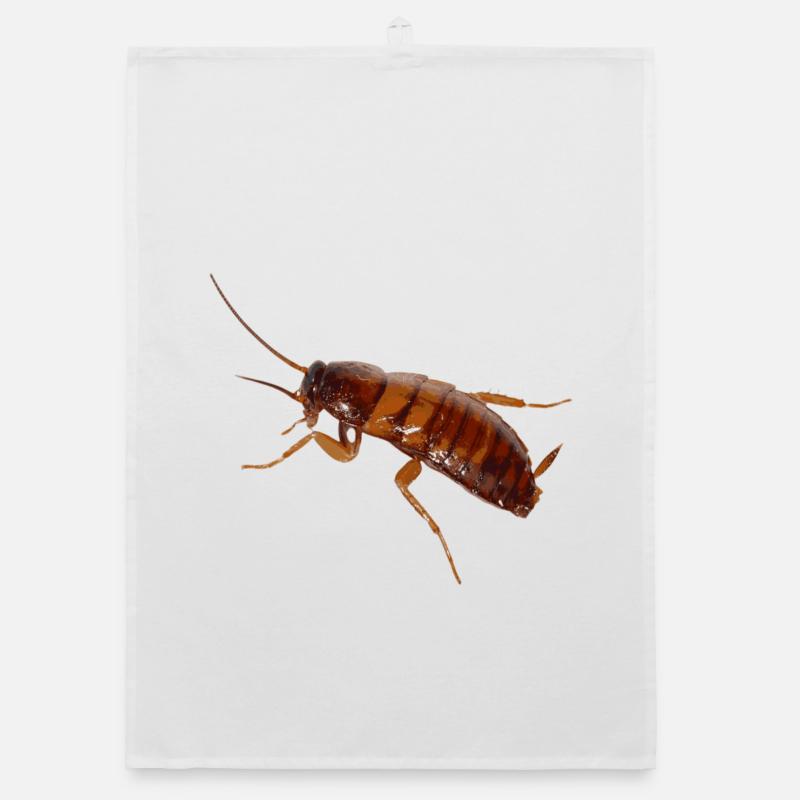 Cockroach insect cockroach cockroach Organic dish towel