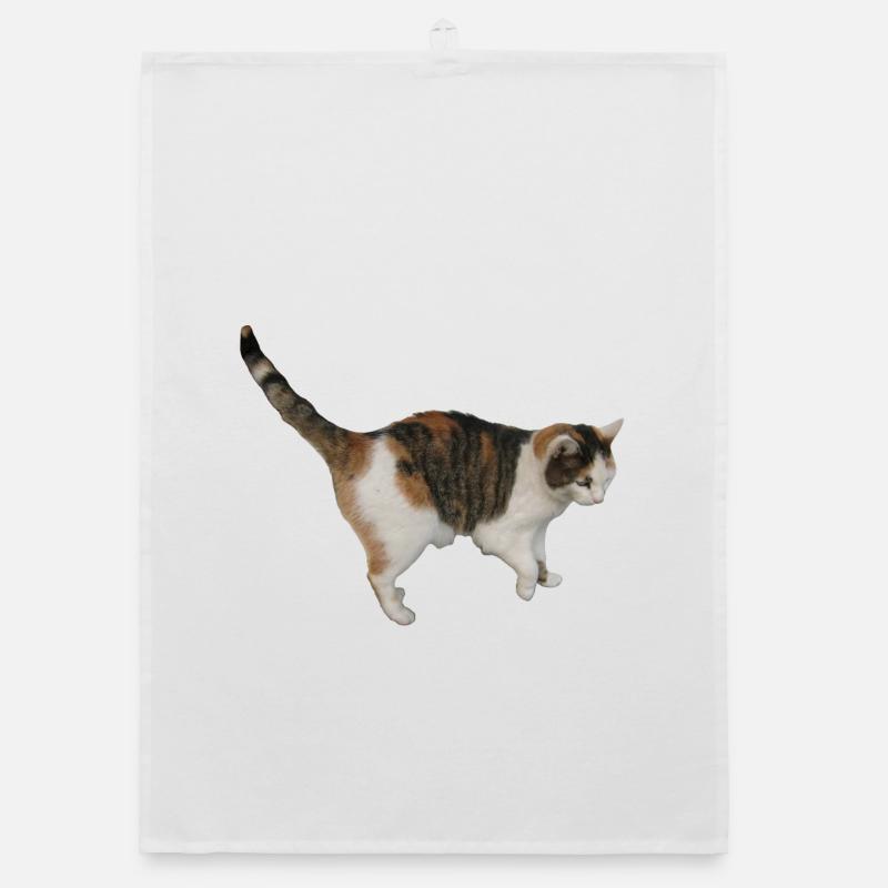 Chat Torchon bio