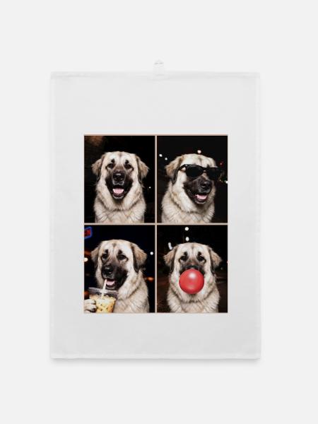 Hunde Kangal Hund - Organic Geschirrtuch - Weiß - Vorne