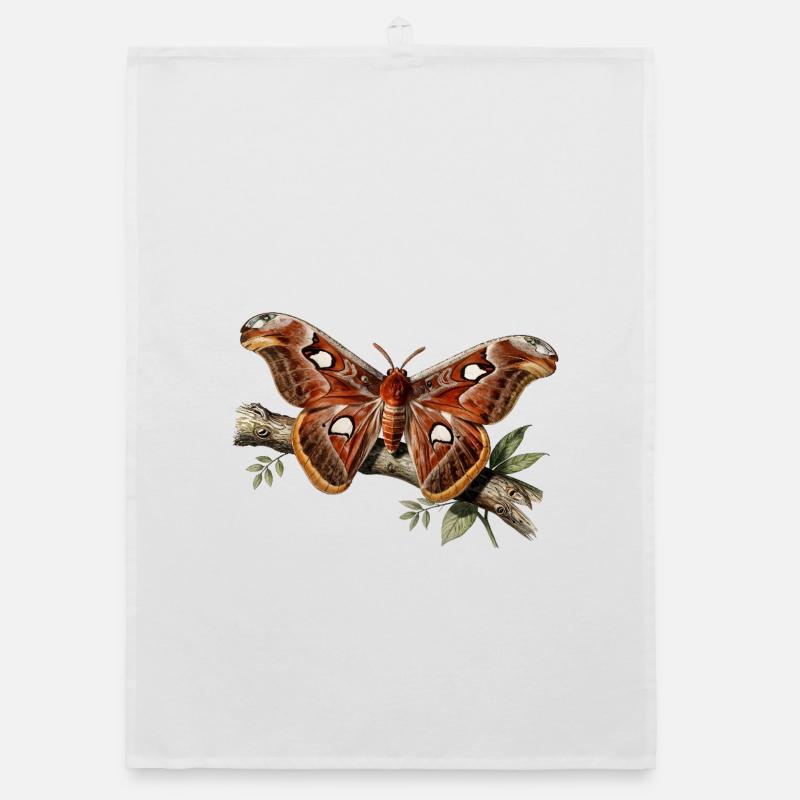 Attacus-Motte Organic Geschirrtuch