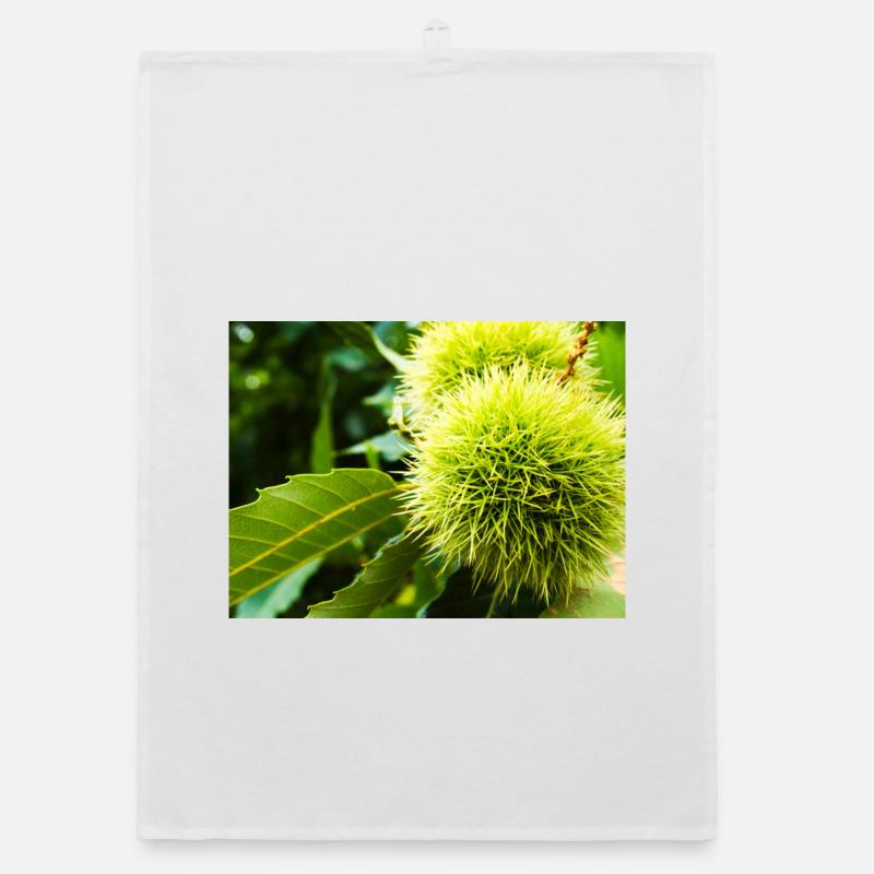 Chestnut bug Organic dish towel