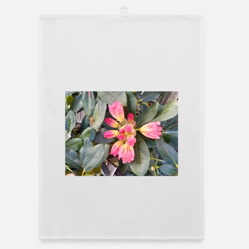 Fleurs roses orangées sur feuillage vert Torchon bio