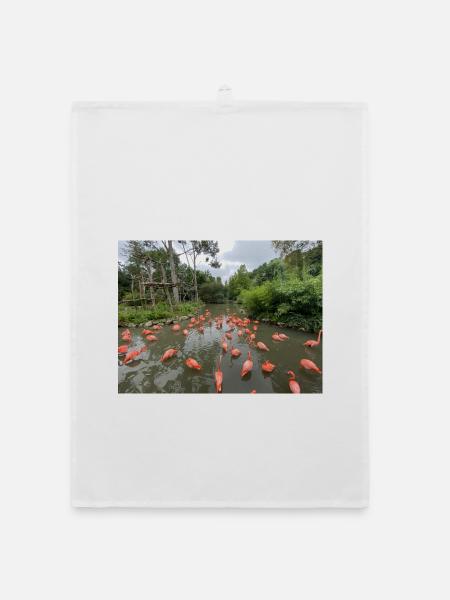 Flamingos im Sumpf - Organic Geschirrtuch - Weiß - Vorne