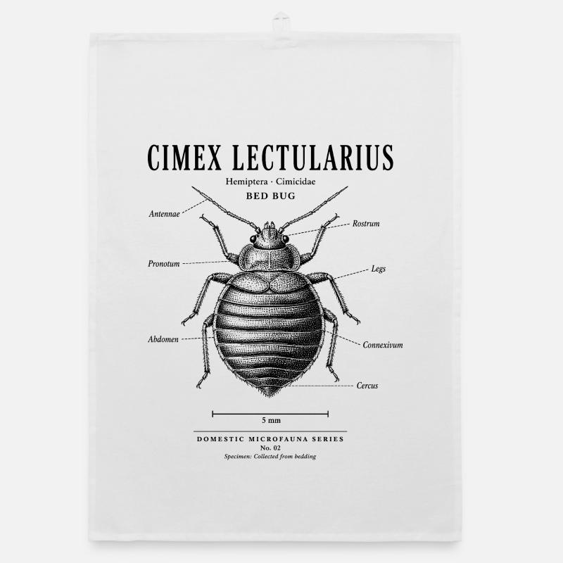 Bed Bug – Domestic Microfauna No. 02 Organic dish towel