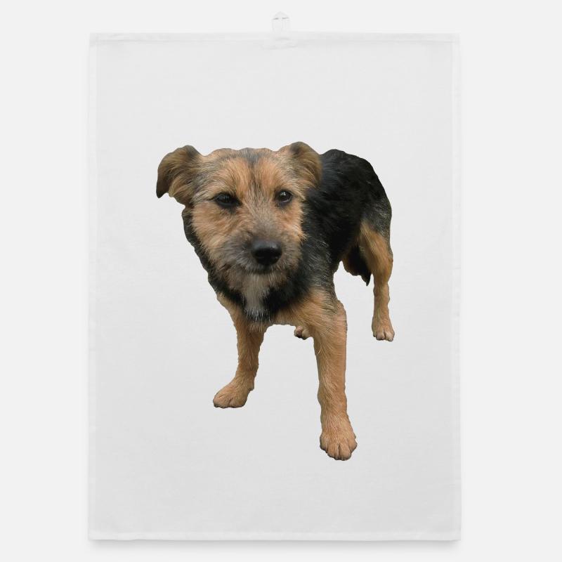 Chien Torchon bio