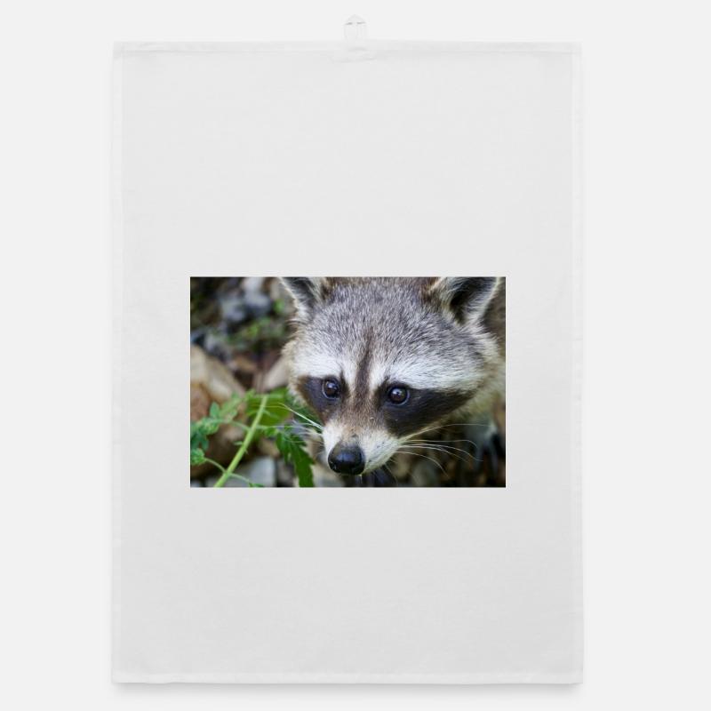 Waschbäre Organic Geschirrtuch