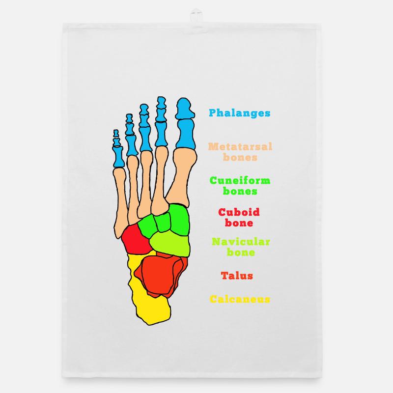 Foot Anatomy Bone Skeleton Physiotherapy Organic dish towel