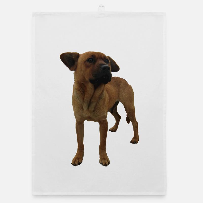 Hund Organic Geschirrtuch