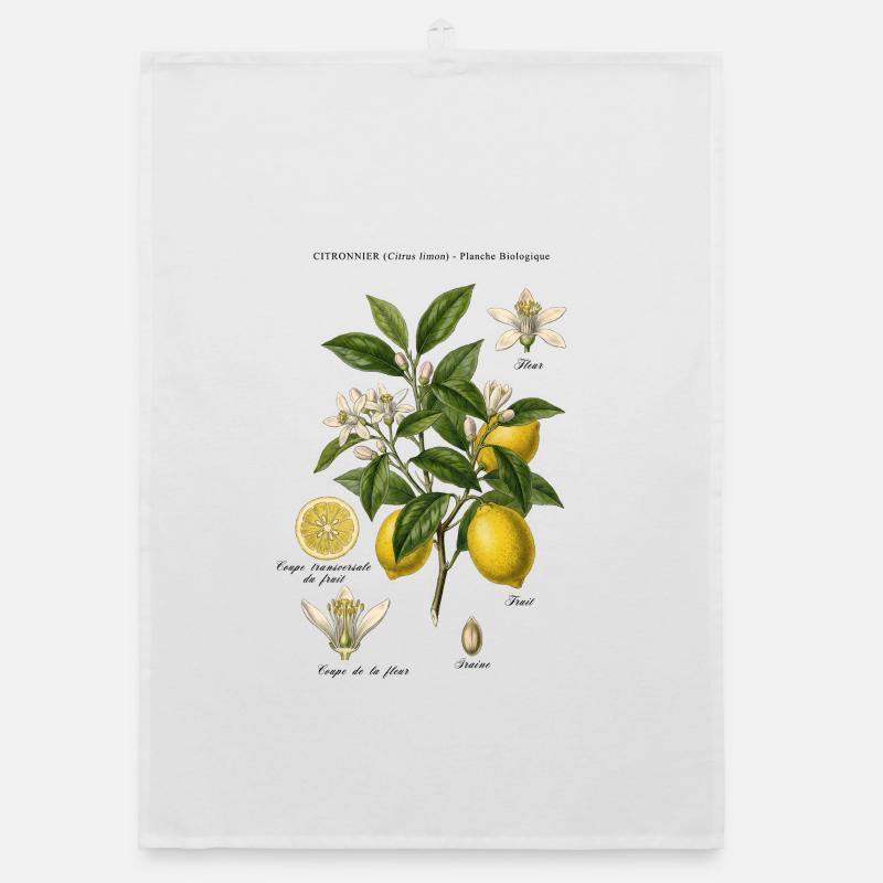 Botanisches Vintage Lemon Tree Board Organic Geschirrtuch