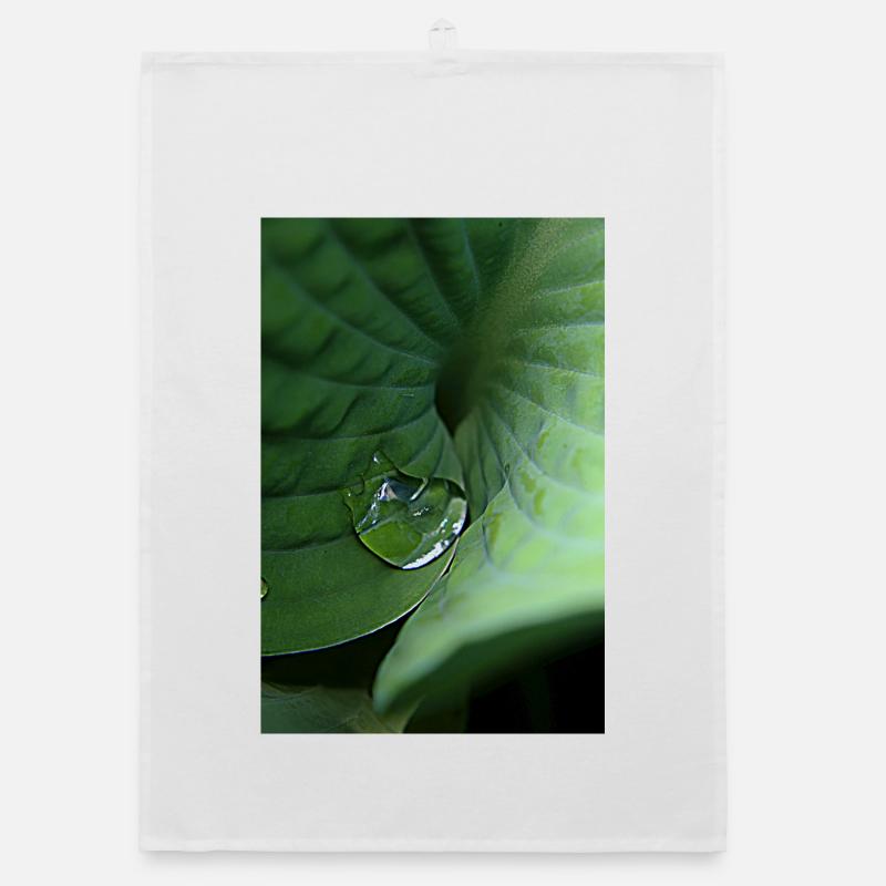 Leafy green tropical dew Organic dish towel