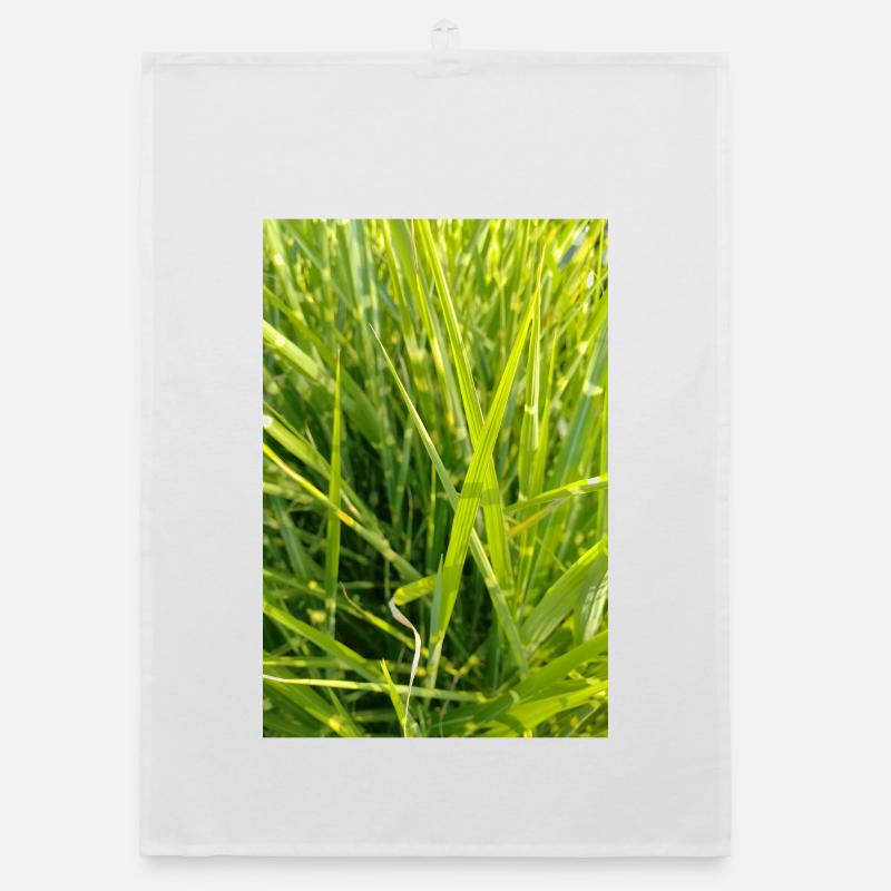 Gros plan sur l’odeur de l’herbe Torchon bio