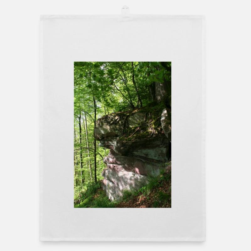 Forest rocks in the morning light / Northern Black Forest Organic dish towel