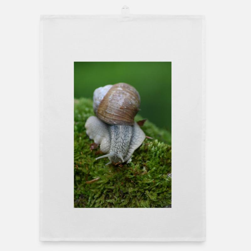 Escargot sur mousse – gros plan Torchon bio