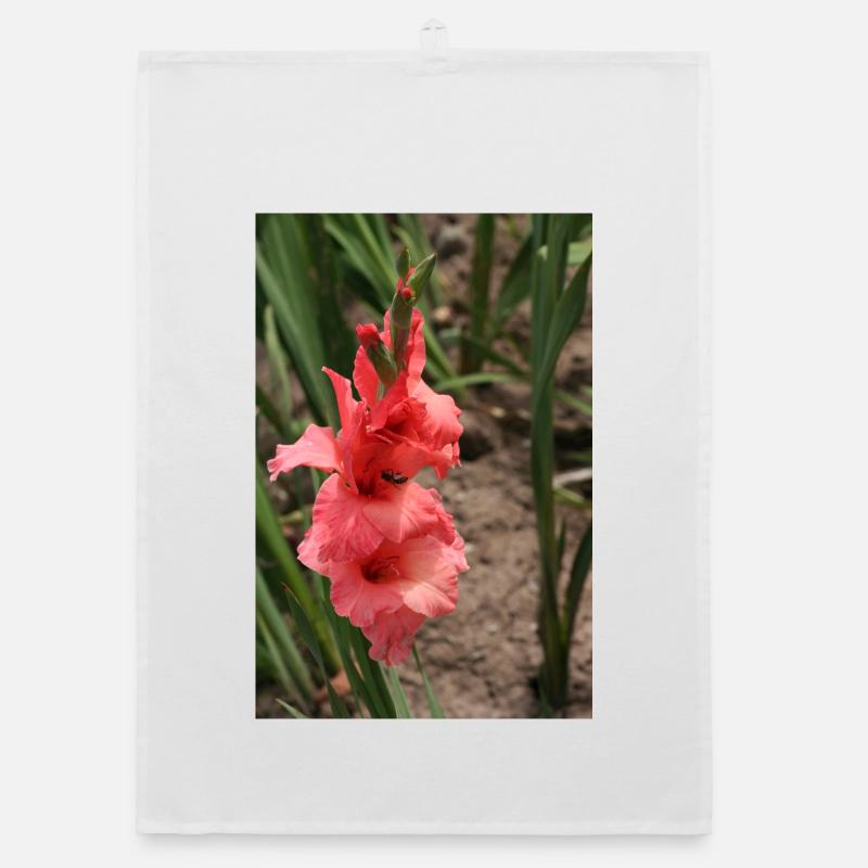 Gladiolus – starch in bloom Organic dish towel