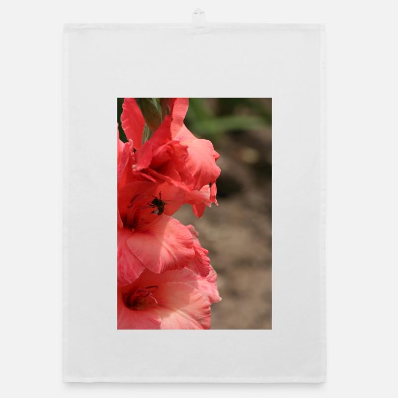 Gladiolus – starch in bloom Organic dish towel