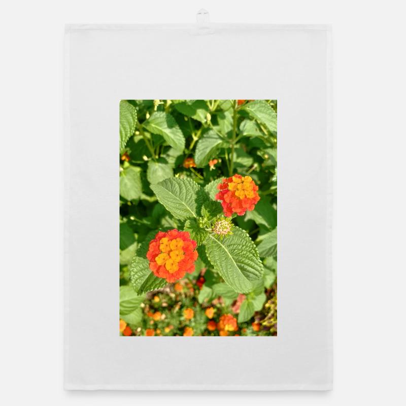 Blühender Garten – Farbenfrohe Stimmung Organic Geschirrtuch