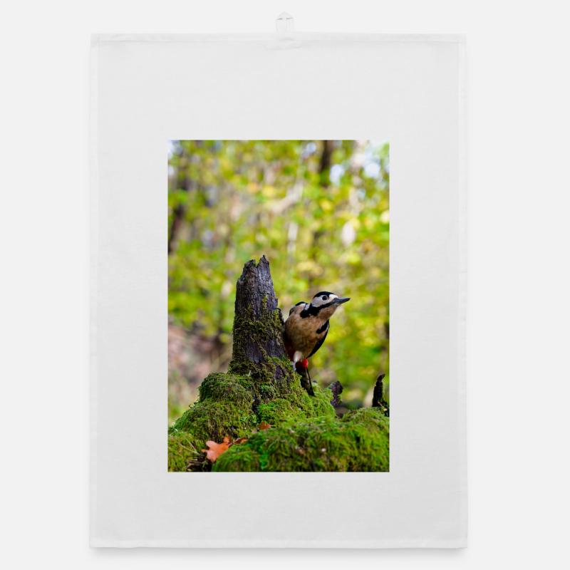 Pic forestier sur souche moussue Torchon bio