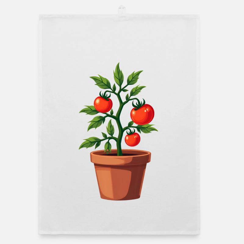 Plante de tomate Torchon bio