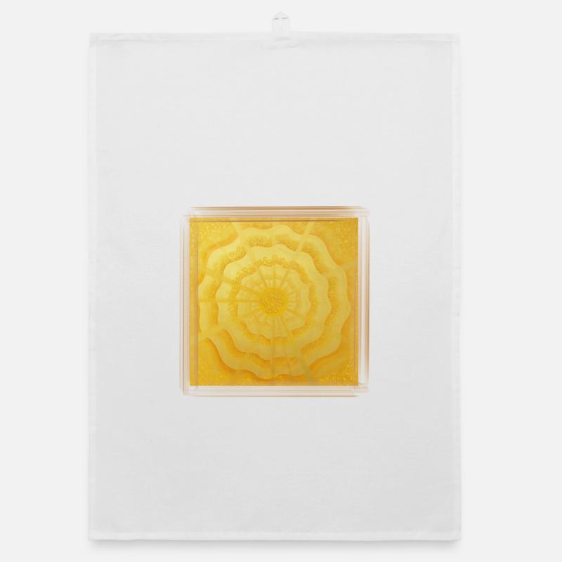 Stargate of Subtlety - Sonja Ariel Torchon bio