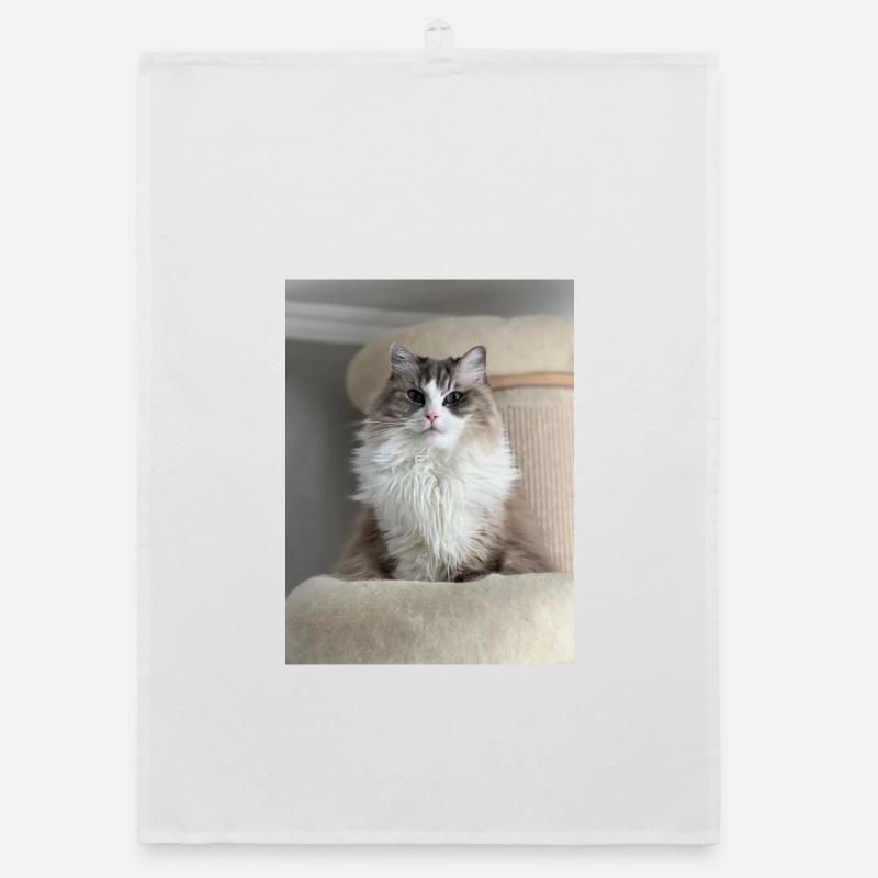 Fluffy Cat King Organic dish towel