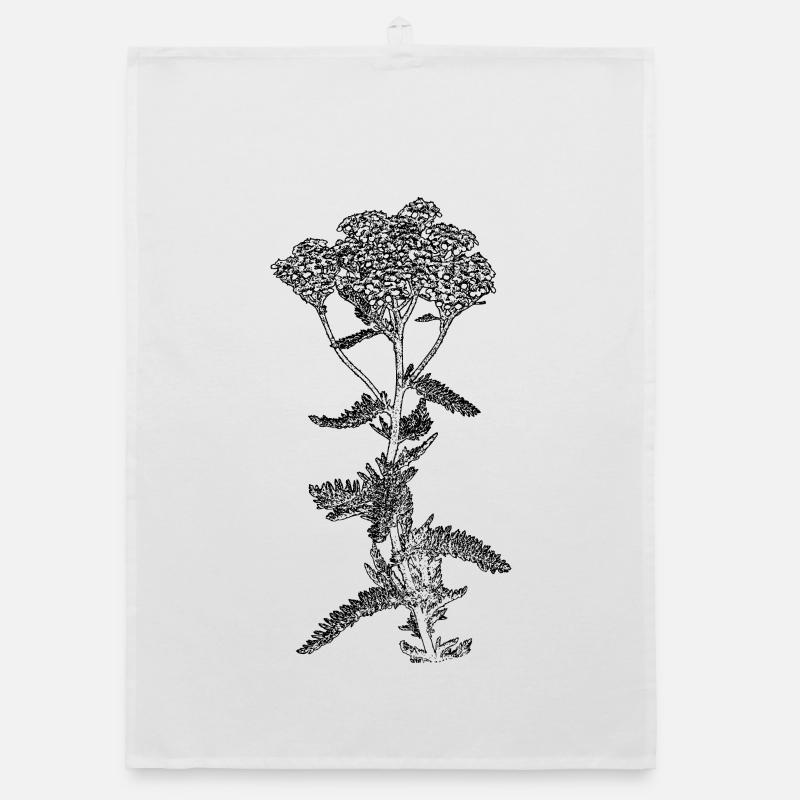 Illustration de fleur d’achillée millefeuille Torchon bio