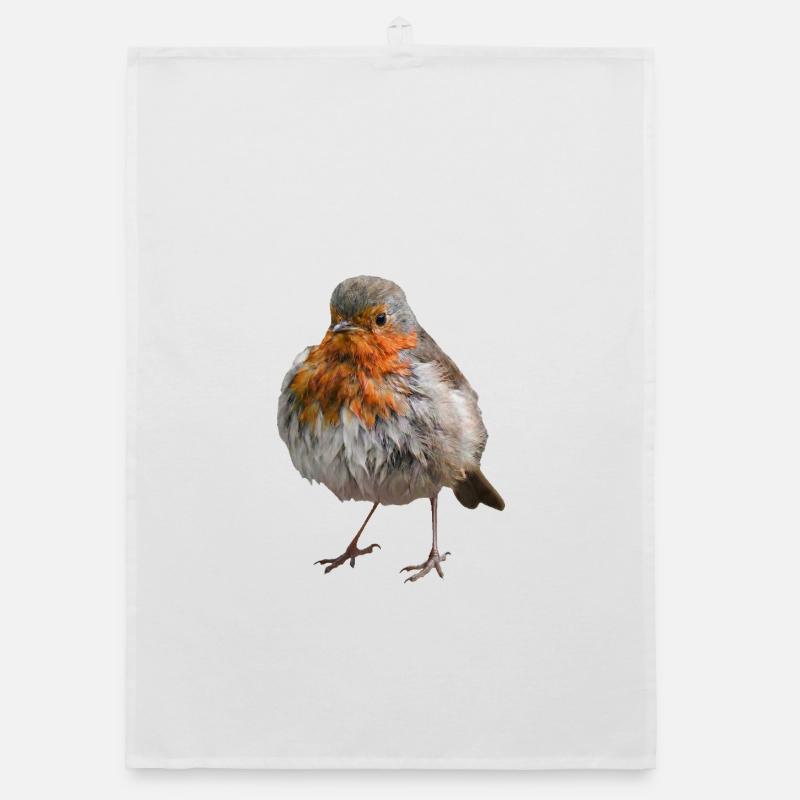 Disheveled Robin Organic dish towel
